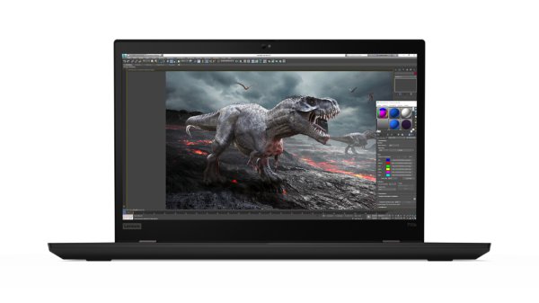 Lenovo ThinkPad P53s Intel® Core™ i7 i7-8565U Mobile workstation 39.6 cm (15.6") Full HD 8 GB DDR4-SDRAM 256 GB SSD NVIDIA Quadro P520 Wi-Fi 5 (802.11ac) Windows 10 Pro Black