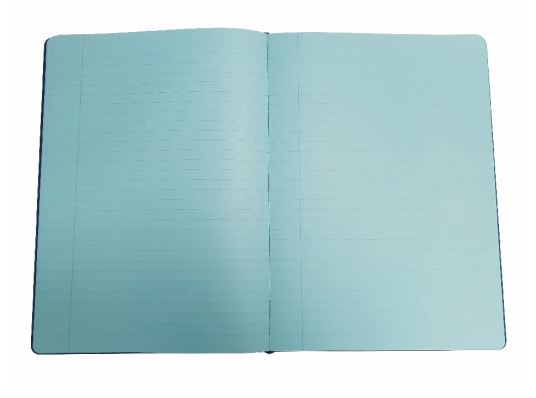 Hardback Irlen Notebook - A4 -Aqua Blue