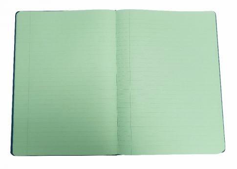 Hardback Irlen Notebook - A4 - Leaf Green