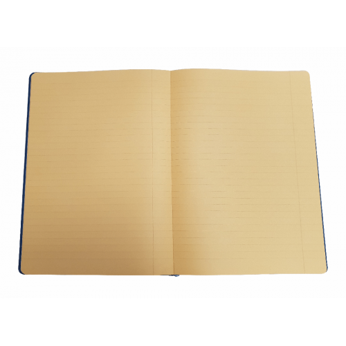 Hardback Irlen Notebook - A4 - Orange