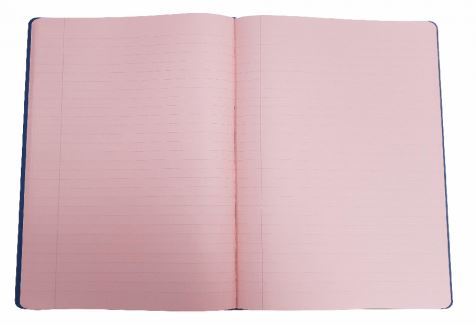 Hardback Irlen Notebook - A4 - Pink