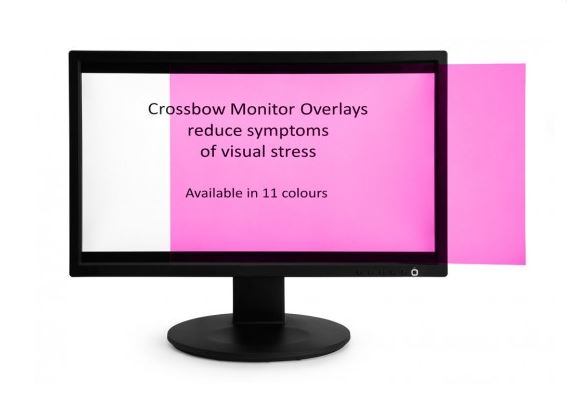 Crossbow Education Monitor Overlay Purple - 21.5" Widescreen (268 x 476 mm).