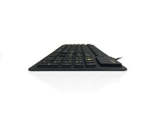 Accuratus WP127 V2 keyboard Industrial USB + PS/2 QWERTY UK English Black