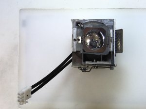 OEM Lamp 1018580