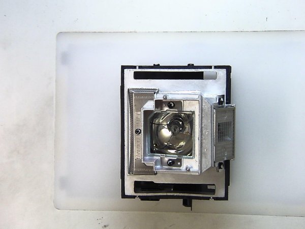 OEM Lamp 1018740