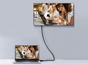 Equip DisplayPort 1.4 Cable, 1m