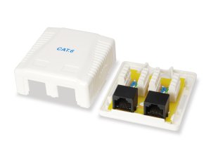 Equip 2-Port Cat.6 Surface Mount Box