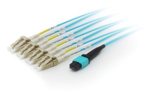 Equip MTP/MTP Trunk Fiber Optic Patch Cable, OM4, 3m