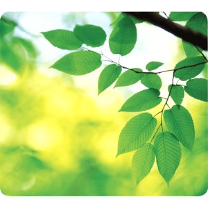 Recycled Mouse Pad - Leaves