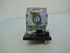 Diamond Lamps Lamp for BENQ PW9500:PX9600:PU9530:PW9250:PX9510:PW9520 Projector