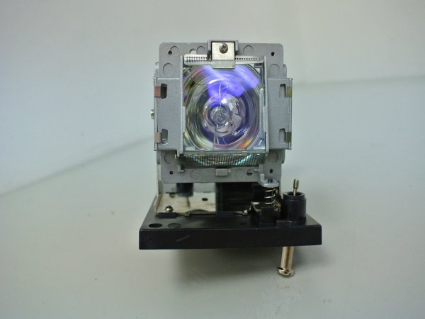 Diamond Lamps Lamp for SANYO PDG-DXT10L:PDG-DWT50L:PDG-DWT50:PDG-DXT10 Projector