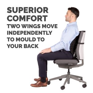 Fellowes Back Support for Office Chair - Back Angel Office Chair Back Support with 7 Height Adjustments - H37.94 x W43.97 x D13.97cm