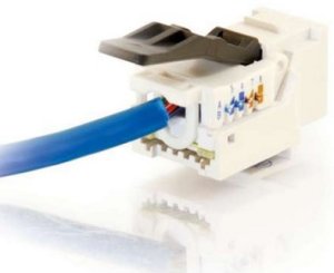 C2G Cat6 RJ45 UTP Toolless Keystone Jack