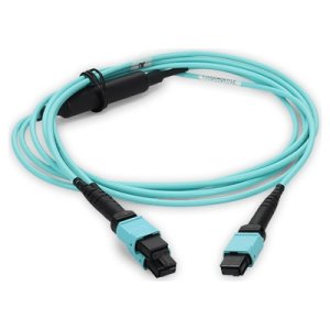 8m 2xMPO-16 (Female) to MPO (Female) 16-strand Aqua OM4 Crossover OFNR (Riser-Rated) Fiber Fanout Cable