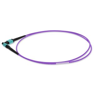 1m MPO (Female) to MPO (Female), 12-Strand, Violet, OM4 Crossover Fiber OFNR (Riser-Rated), Patch Cable