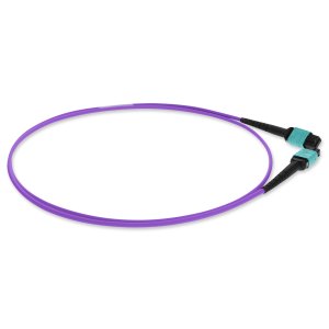 1m MPO (Female) to MPO (Female), 12-Strand, Violet, OM4 Crossover Fiber OFNR (Riser-Rated), Patch Cable