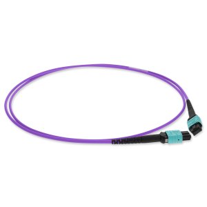 1m MPO (Female) to MPO (Female), 12-Strand, Violet, OM4 Crossover Fiber OFNR (Riser-Rated), Patch Cable