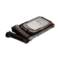 Hypertec DEL-H1000PS1/K32 internal hard drive 1 TB 7200 RPM 3.5" Serial ATA II