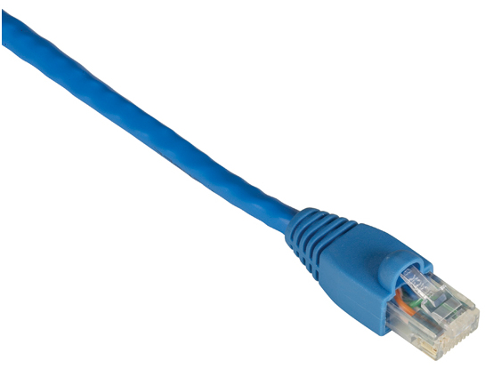 Black Box 6m Cat6 UTP 550 MHz networking cable Blue U/UTP (UTP)