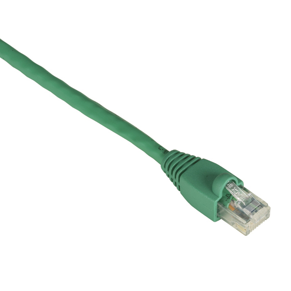 Black Box GigaTrue CAT6 UTP 0.3 m networking cable Green U/UTP (UTP)