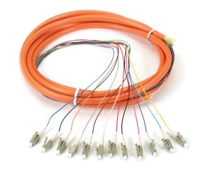 Black Box FOPT50M1-LC-12OR-3 InfiniBand/fibre optic cable 3 m 12x LC OFNR OM1 Orange