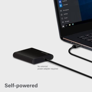 USB-C to Dual DisplayPort Adapter - 4K - 30 Hz